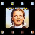 ���� �������